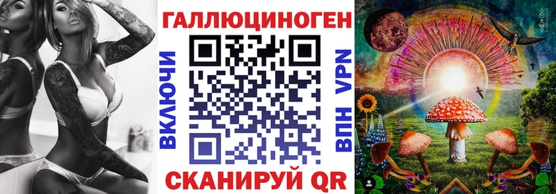 Купить закладки  Темрюк  Псилоцибиновые грибы прущие грибы 
